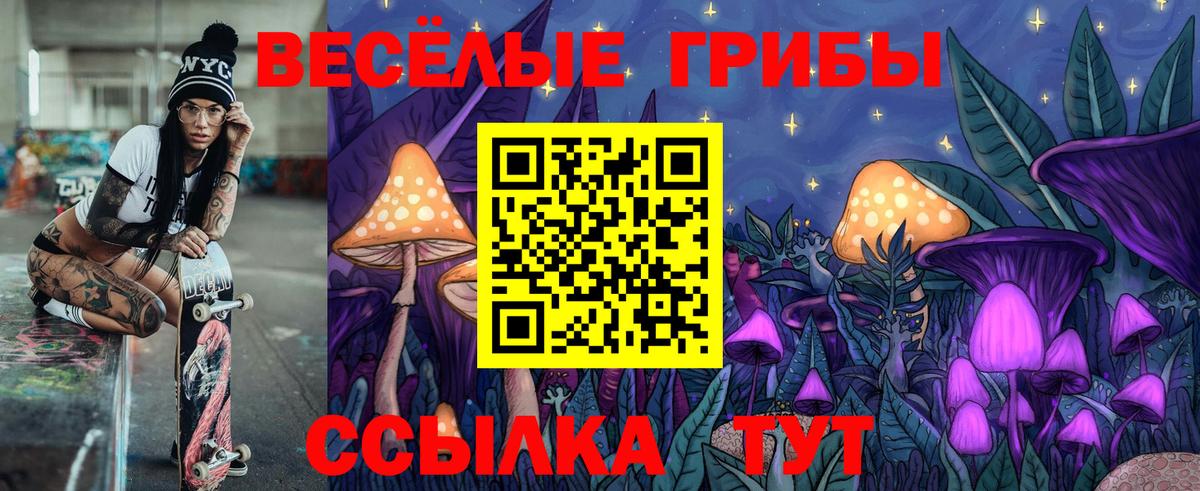 Галлюциногенные грибы прущие грибы Тайшет