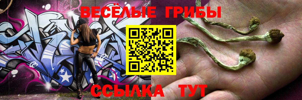 Галлюциногенные грибы GOLDEN TEACHER  цена наркотик  Галлюциногенные грибы прущие грибы  Тайшет 